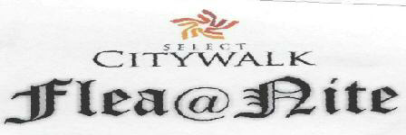 Citywalk& Flea @ Aite Device mark 1725303 Trademark