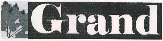 Grand Device mark 2174916 Trademark
