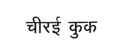 Chirai Cook Device mark 1993791 Trademark