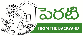 Perati (logo) Device mark 2485080 Trademark