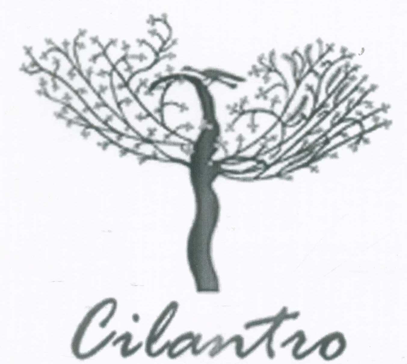 Cilantro Device mark 1103667 Trademark