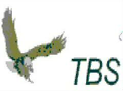 Tbs-fit, Device Of Eagle Device mark 1274075 Trademark