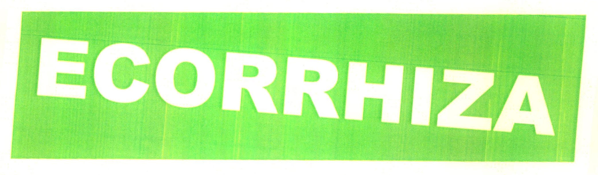 Ecorrhiza Device mark 2908402 Trademark