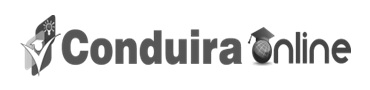 Conduira Online Device mark 2995521 Trademark