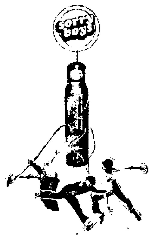 Sorry Boys (label) Device mark 1756687 Trademark