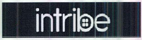 Intribe Device mark 2593852 Trademark