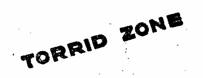 Torrid Zone Device mark 112126 Trademark