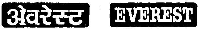 Everest Device mark 525016 Trademark