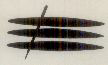 Device Device mark 540065 Trademark