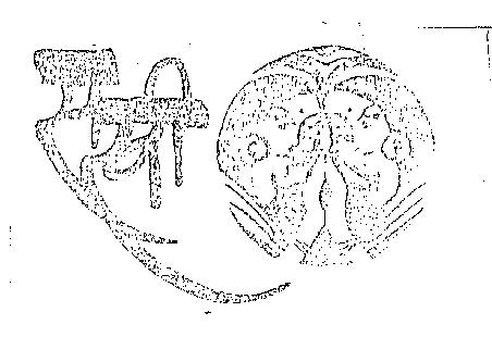Sakhi(label) Device mark 720122 Trademark