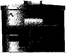 Talc Bottle (device) Device mark 811415 Trademark