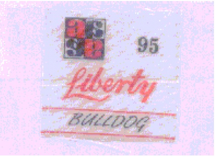 Liberty Device mark 937070 Trademark