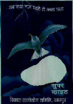 Super Wihte Device mark 814411 Trademark