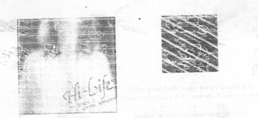 Hi - Life (label) Device mark 875272 Trademark