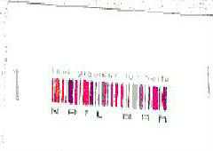 N A I L B A R (label) Device mark 1290791 Trademark