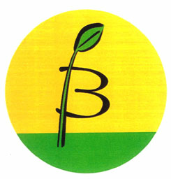 B (logo) Device mark 1380072 Trademark