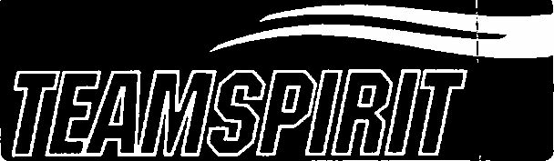 Teamspirit (device Of Double Outline) Device mark 1530860 Trademark