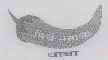Mirch Masala Dhaba (device Of Chilly) Device mark 1152563 Trademark
