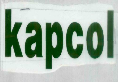 Kapcol Device mark 1530202 Trademark