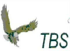 Tbs-fit,device Of Eagle Device mark 1274074 Trademark