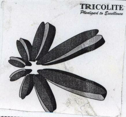 Tricolite With Device Device mark 1695602 Trademark