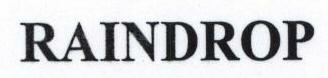 Raindrop Device mark 1642251 Trademark