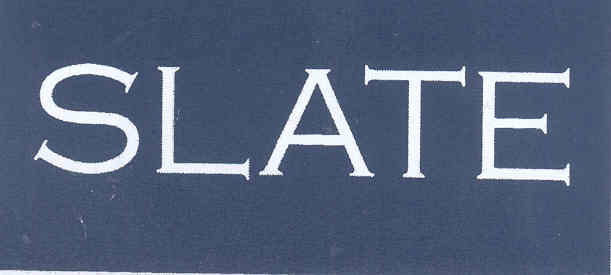 Slate Device mark 1657358 Trademark