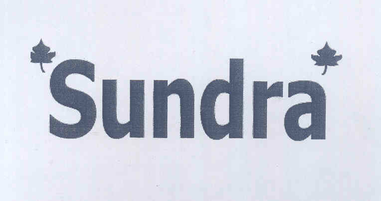 Sundra Device mark 1702098 Trademark