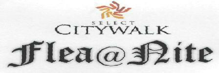 Citywalk Flea @ Aite Device mark 1725302 Trademark