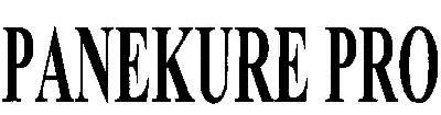 Panekure Pro Device mark 1732178 Trademark