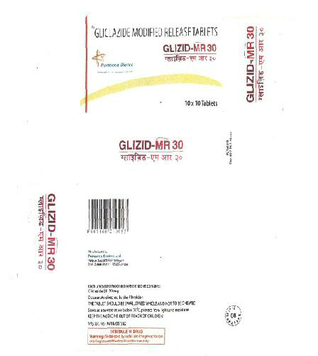 Glizid Mr Device mark 1725091 Trademark
