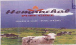 Hemanchal Device mark 1746156 Trademark