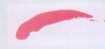 Device Mark (label) Device mark 1761476 Trademark