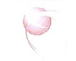 De. Geom. Misc. Device mark 1503229 Trademark