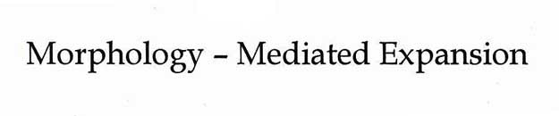 Morphology - Mediated Expansion Device mark 1800058 Trademark