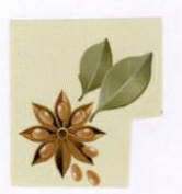 Logo Device mark 1892118 Trademark
