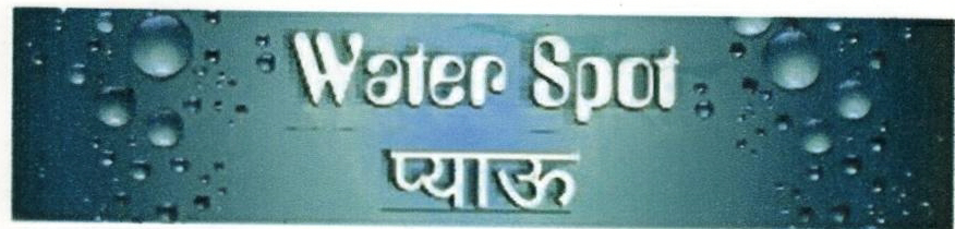 Water Spot Device mark 1860983 Trademark