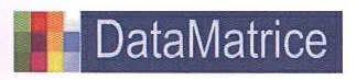 Data Matrice Device mark 1610768 Trademark