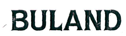 Buland Device mark 1906104 Trademark