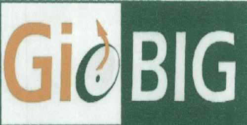 Gio Big Device mark 1921852 Trademark