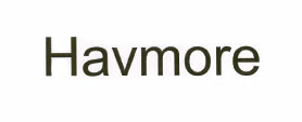 Havmore Device mark 1972127 Trademark