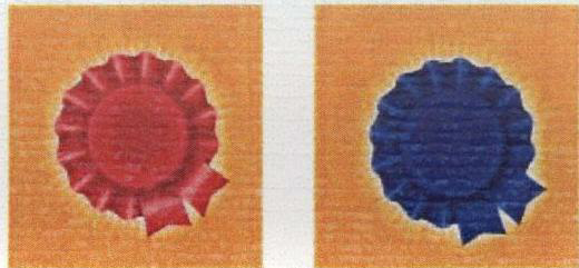Logo Device mark 1703016 Trademark