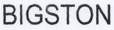 Bigston Device mark 1763904 Trademark
