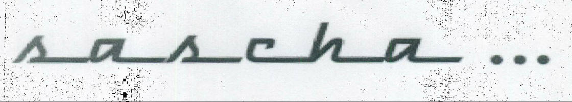 Sascha Device mark 2040695 Trademark