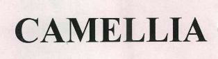Camellia Device mark 1733095 Trademark