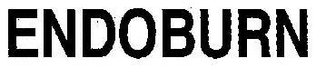Endoburn Device mark 1995328 Trademark