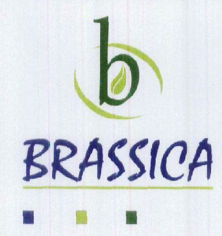 Brassica Device mark 1810401 Trademark