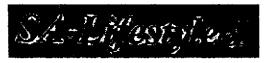 Sa-lifestyle - I Device mark 1198952 Trademark