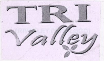 Tri Valley Device mark 1884623 Trademark