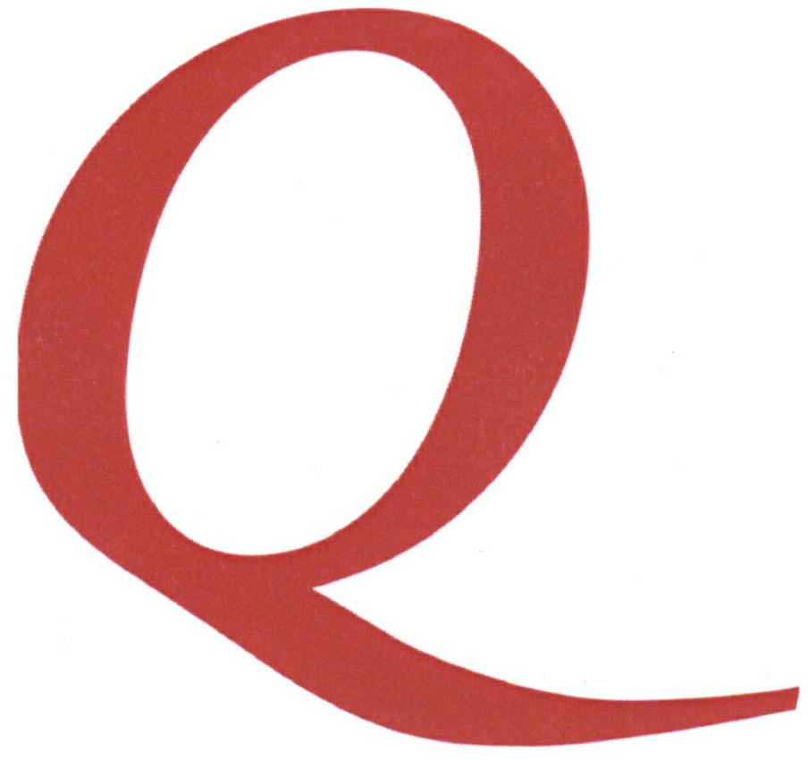 Q Device mark 2177417 Trademark